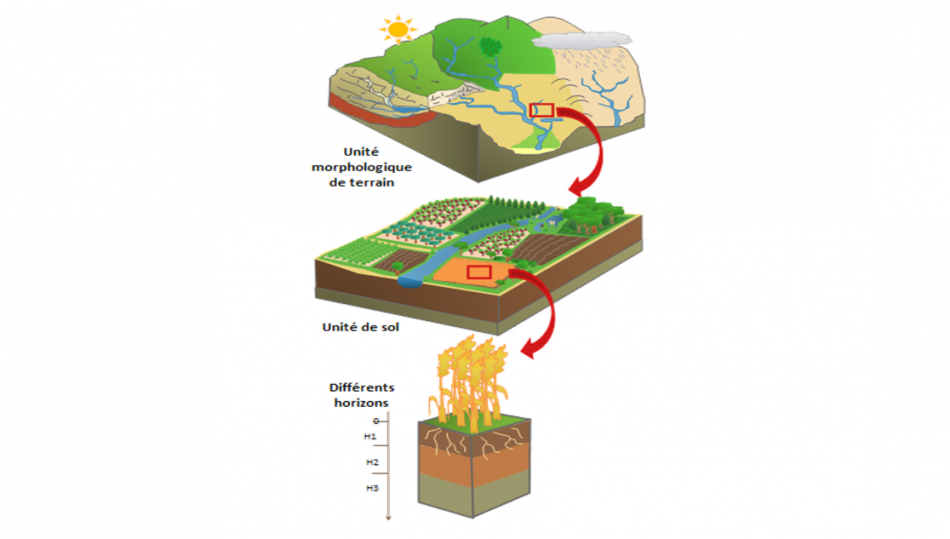 Soil diagnostic